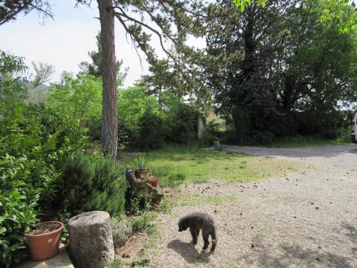 B&B Chez Anne-Marie Nyons Bagian luar foto